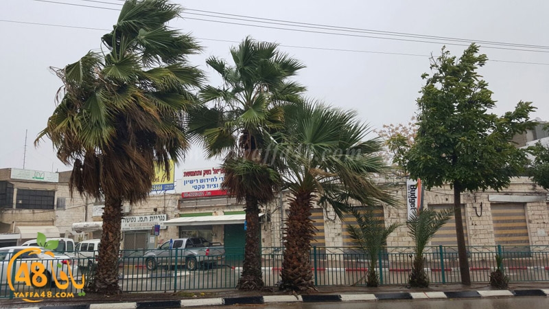 weather sea yaffa (4).jpg